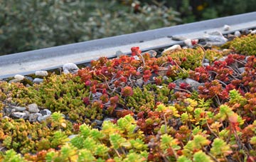 the cost of Hewelsfield Common green roof installation